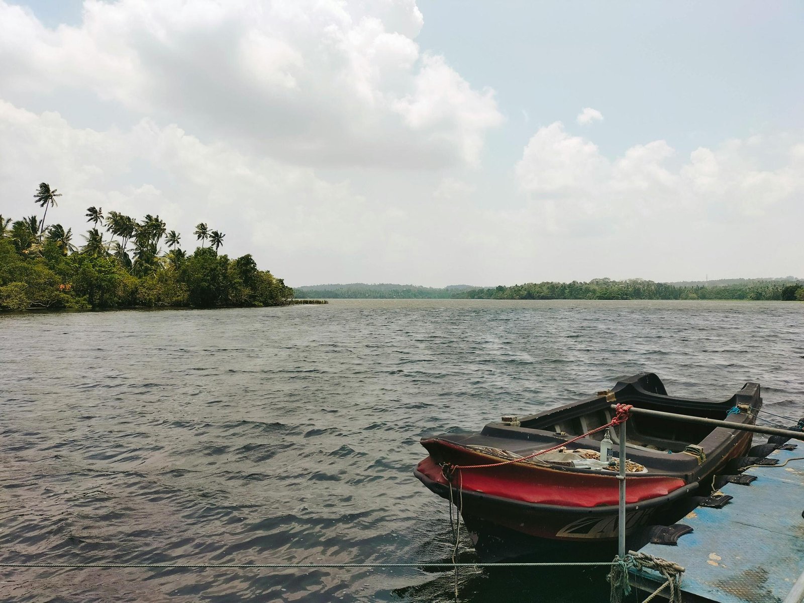 Madu River Boat Safari